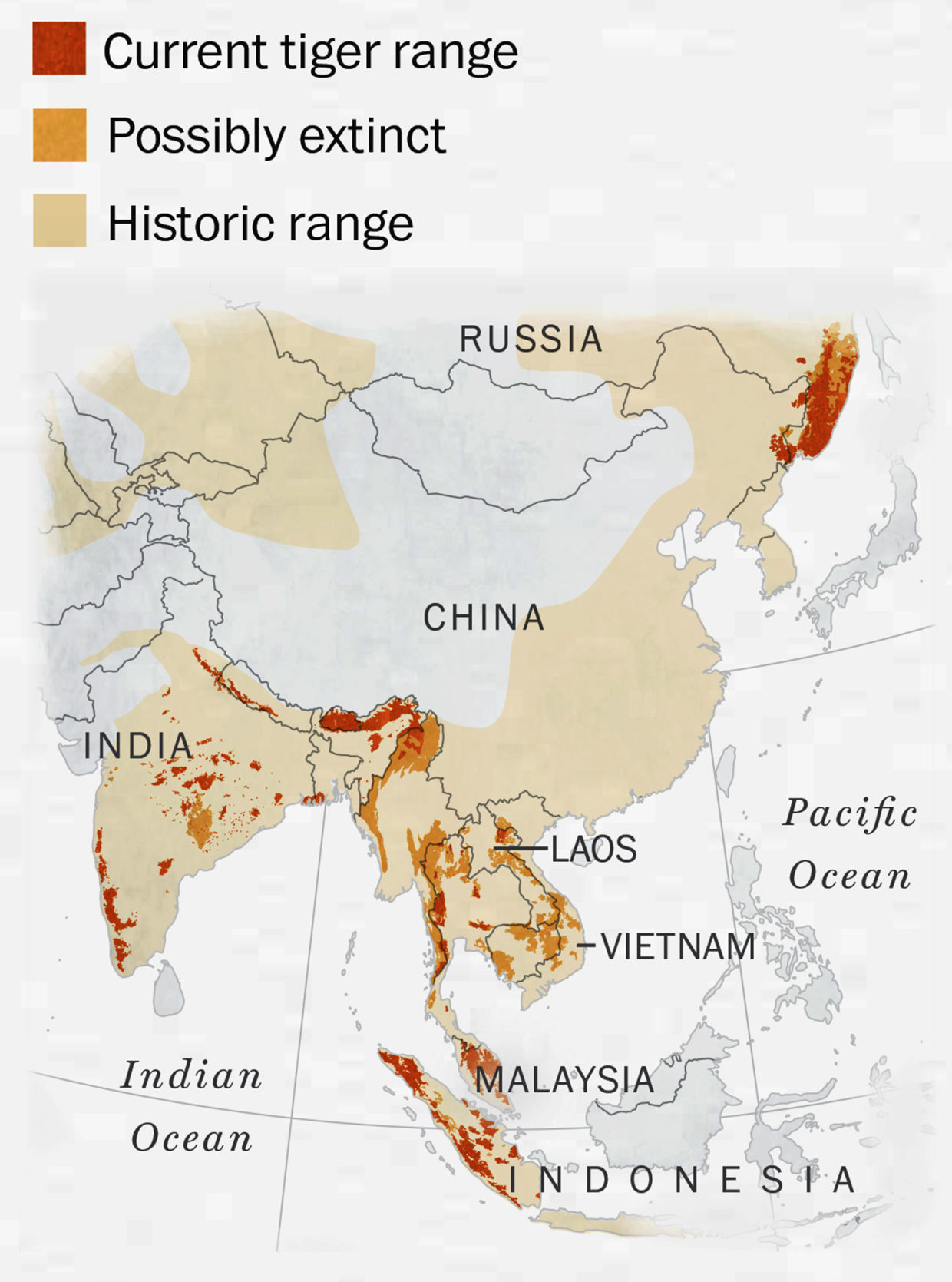 tiger-range-map-texture copy